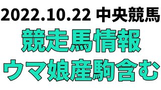 【富士S】中央競馬情報 2022年10月22日【ウマ娘産駒】