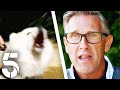 Dogs Who Have A Thirst For Blood! | Dogs Behaving (Very) Badly | Channel 5