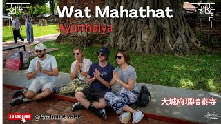 【泰国Ayutthaya】Wat Mahathat @ Ayutthaya 2024 | 泰國🇹🇭大城府瑪哈泰寺 2024 ｜標誌性菩提樹根圍佛頭奇景 ｜วัดมหาธาตุ