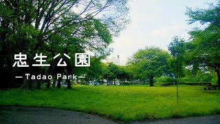 谷戸地形に沿って作られた広い公園【忠生公園】