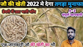 जौ की खेती की संपूर्ण जानकारी || Barley ki kheti ki puri jankari || Barley cultivation