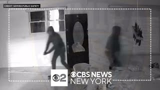 Violent Staten Island home invasion caught on video
