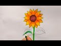 sunflower drawing pencil how to draw sunflower step by step