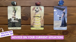 Advice on Your Current Situation | Timeless Reading