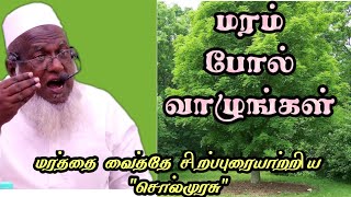 மரம் போல் வாழுங்கள் | சொல்முரசு அபுதாஹிர் பாகவி அவர்கள் சிறப்புரை தாராபுரம் பட்டமளிப்பு விழா