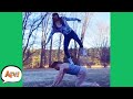 She KNOWS This Was A BAD IDEA! 😅🤣 | Funny Fails | AFV 2020