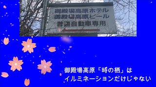 お昼に撮影。御殿場高原「時の栖」のサクラ