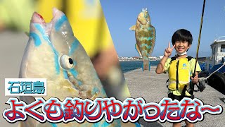 【こども釣り】石垣島にてイラブチャー（アーガイ）を釣る瞬間！！！！