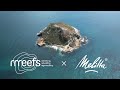 rrreefs x Melitta - the Ecuadorian reef