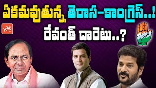 ఏకమవుతున్న తెరాస -కాంగ్రెస్.! CM KCR Targets TPCC Revanth Reddy |TRS Alliance With Congress |YOYO TV