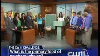 CW11 News - CW11 Challenge with Jill Nicolini (6-13-08)