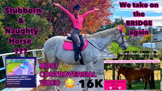 Stubborn \u0026 Naughty Horse?? | revisit our most controversial video ever!! | Ronnie’s Equine Siblings