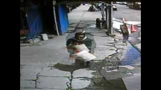 Citywide Grand Larceny Pattern