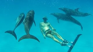 Dolphins Love our new human fin - Bahamas Part 3 (Ted's HoldOver)