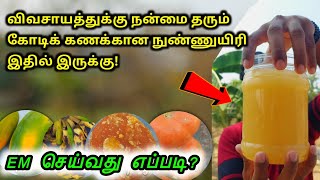 விவசாய நிலத்தில் நுண்ணுயிரிகள்🦠🧫 உற்பத்தி செய்யும் முறை | EM கரைசல்