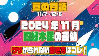 11/7〜12/6の四緑木星『ウザがられない動き方はコレ！』2024年11月の運勢【亘の月読】