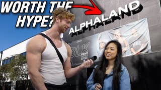 WHY PEOPLE ARE OBSESSED WITH ALPHALAND