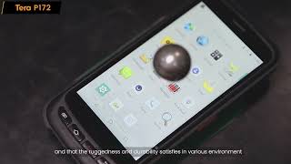 Tera PDA/Mobile Computer P172