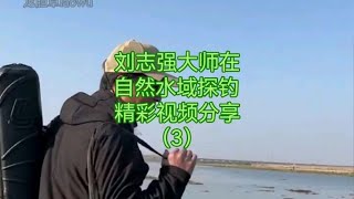 刘志强大师自然水域探钓3，精彩视频分享钓鱼技巧 #爱生活爱钓鱼