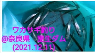 ワカサギ釣り@奈良県　室生ダム(2021.12.11)