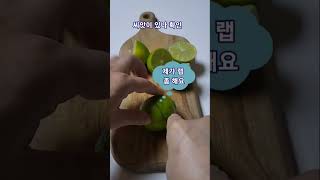 라임 오렌지 씨앗구하기채종(gathering lime orange seeds)