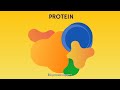 What Are Proteins?