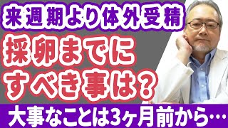 【妊活】いよいよ体外受精！良い卵がとれるように、採卵までにすべき事は？！