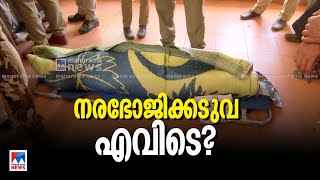 കടുവയെ തിരയാന്‍ ഏഴ് സംഘങ്ങള്‍ |Wayanad | Tiger