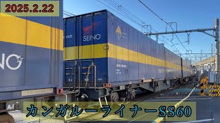 EH500 貨物列車 4059レ カンガルーライナーSS60 宇都宮線 宇都宮－岡本