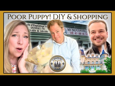 Bowie's TRAGEDY! CHATEAU DIY & ANTIQUE SHOPPING with Philip!