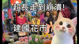 Taiwan market 建國花市 2023 春節花展 Taipei (4K)  iPhone 14 the video