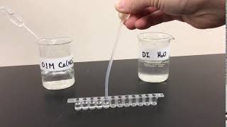 Adding Ca(NO3)2 and Water to Wells for Ksp Lab