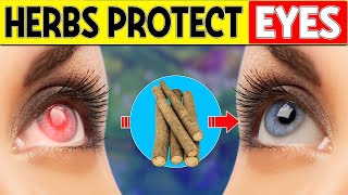 15 Best Herbs That Protect Your Eyes And Repair Vision Like Magic