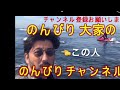 網戸の張り替えはダイソーの道具でok 最高の出来！夏を前に穴開いてませんか？