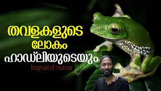 മൂന്നാറിന്റെ പച്ചപ്പിൽ പച്ചിലപ്പാറനൊരു കുളമൊരുക്കി ഹാഡ്ലി രഞ്ജിത്ത് | mathrubhumi.com