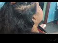 to control hair loss உங்க முடி கொட்டுதா கையோடு வருதா haircare tips viralvideo