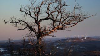 EEA fordert mehr Anstrengungen gegen Klimawandel