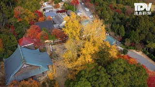 赤や黄色に色づく「大山寺」（徳島・上板町）【ドローン空撮】