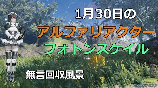 PSO2NGS　1月30日のアルファリアクター＆フォトンスケイル　回収風景