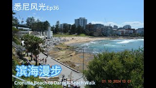 悉尼风光Ep.36  滨海漫步