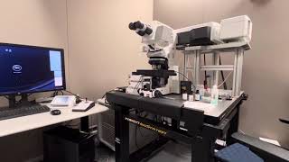 LSM 880 Confocal Microscope at UC Merced Imaging and Microscopy Facility (IMF): Hands-on Training