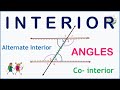 Can you differentiate alternate interior angles from consecutive interior angles?