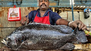 KASIMEDU SPEED SELVAM FISH CUTTING VIDEO