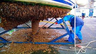 Barnacle Removal From Ships And Boats - The Barnacles With Starbrite Acid for a Smooth Shiny Hull !!