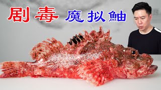 冒险试吃剧毒魔拟鮋鱼，出锅后摄影小哥没忍住，超鲜嫩的【小文哥吃吃吃】