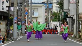 若小親Revolution [紆余曲折]@よさこい道2017・駅前パレード会場