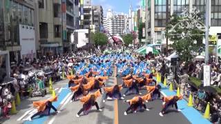 武州武蔵2016「一心」｜浦和よさこい（南浦和駅東口A会場）