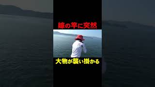 油断していたら、大きすぎる魚が釣れました