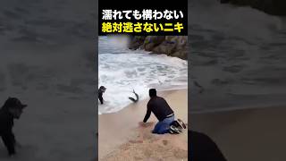 てかなんでこんな所に!?#short