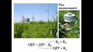 An Ecological Perspective on the Promise and Challenges of Biofuels